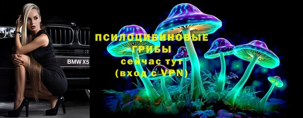 стаф Зерноград