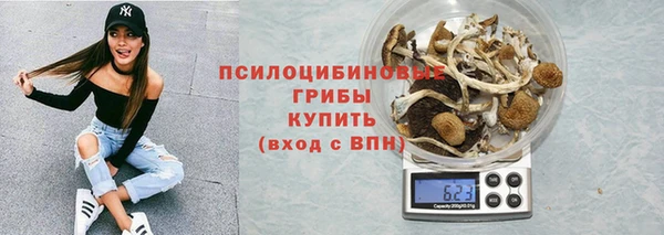 мдпв Зеленокумск