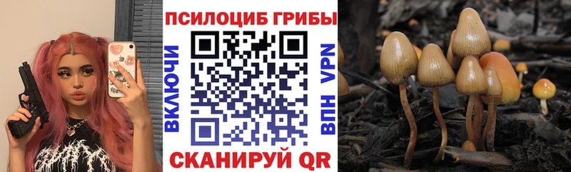 hydra ТОР  что такое наркотик  Лангепас  нарко площадка официальный сайт  Галлюциногенные грибы Psilocybe 